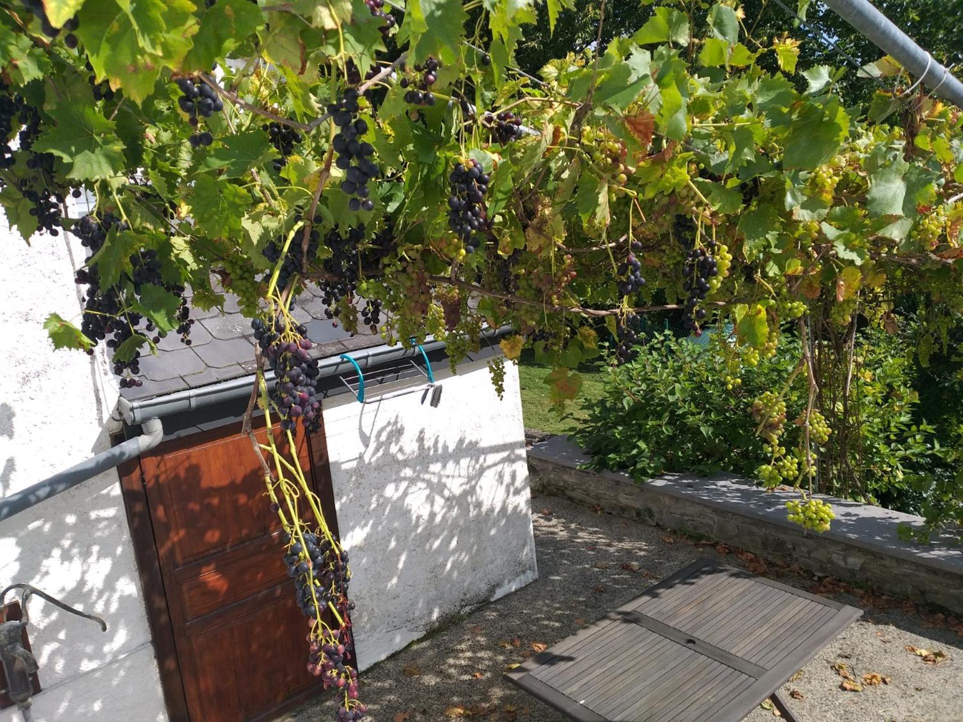 Bertogne Gite L'Ecole De Ma Mereヴィラ エクステリア 写真
